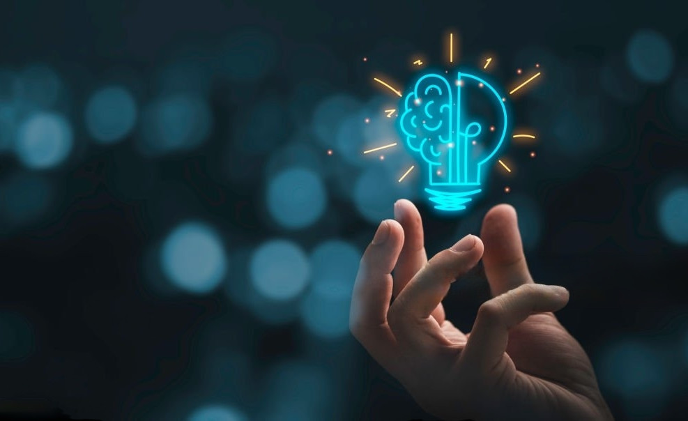BrainsLogic Team Culture